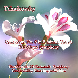 II Allegro con grazia   Norddeutsche Philharmonie Symphony