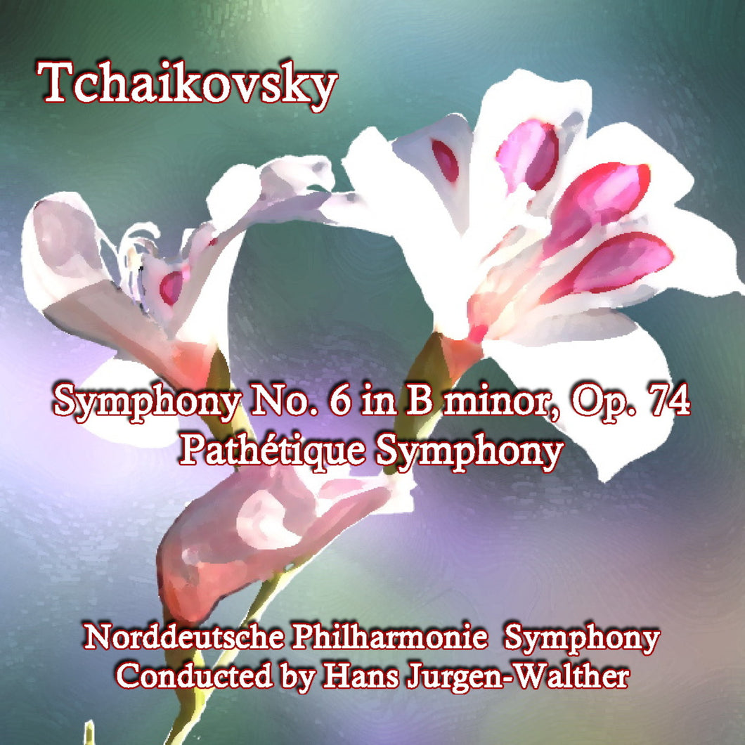 II Allegro con grazia   Norddeutsche Philharmonie Symphony